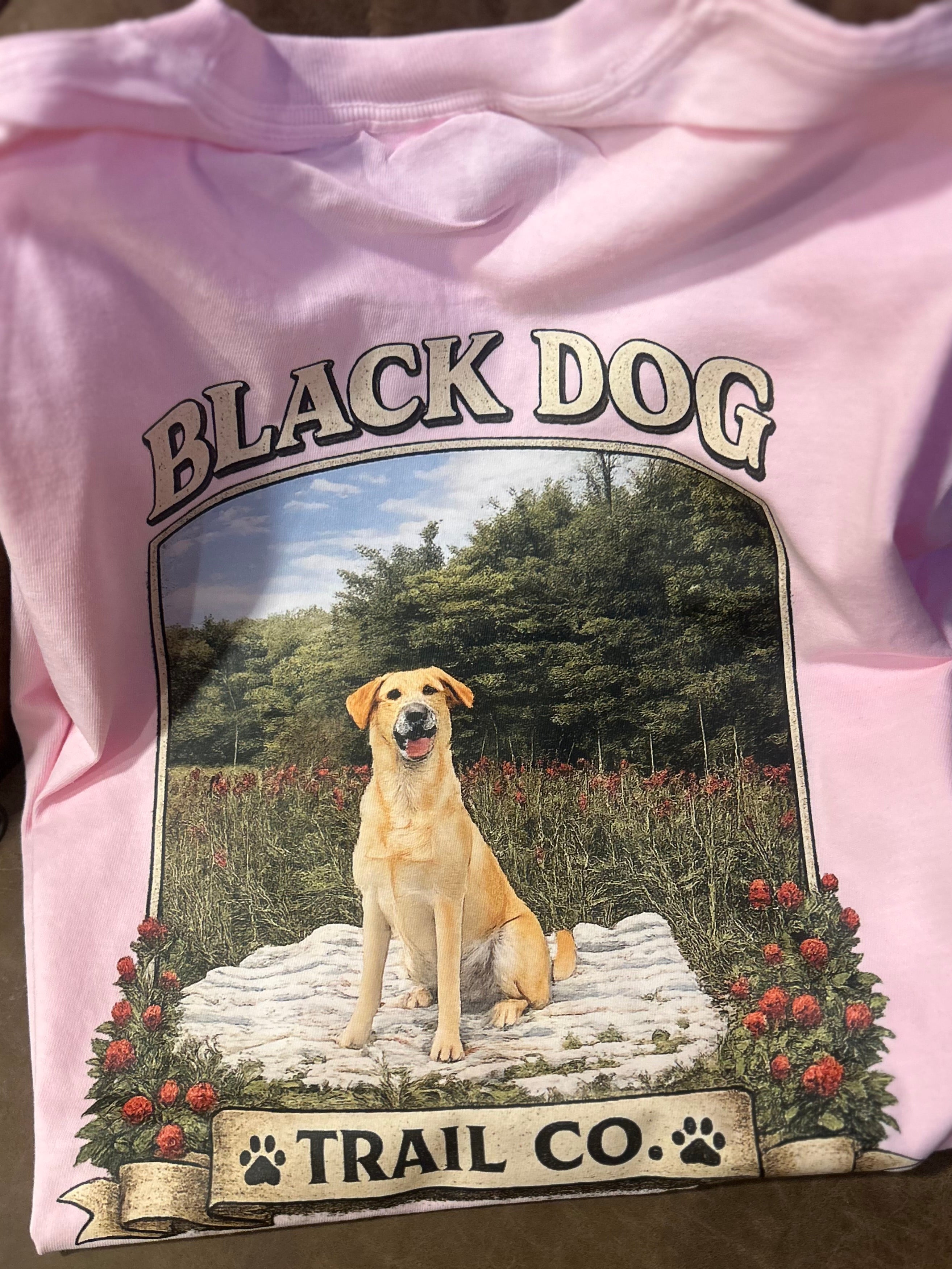 Women's Short Sleeve